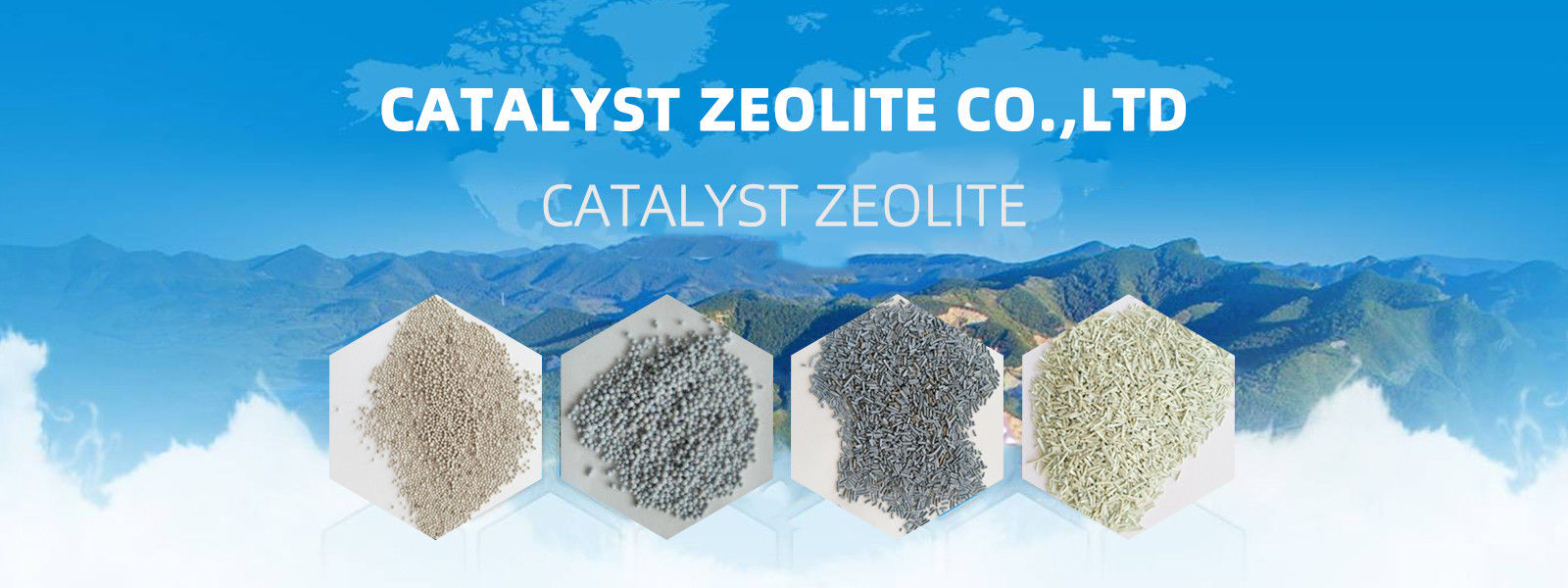 Catalyst Zeolite
