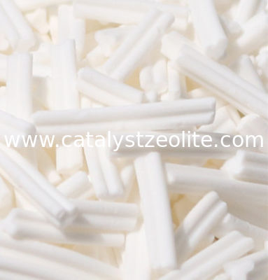 Gamma Alumina LS-RR Type Raschig Ring Alumina Carrier 0.6 g/Ml